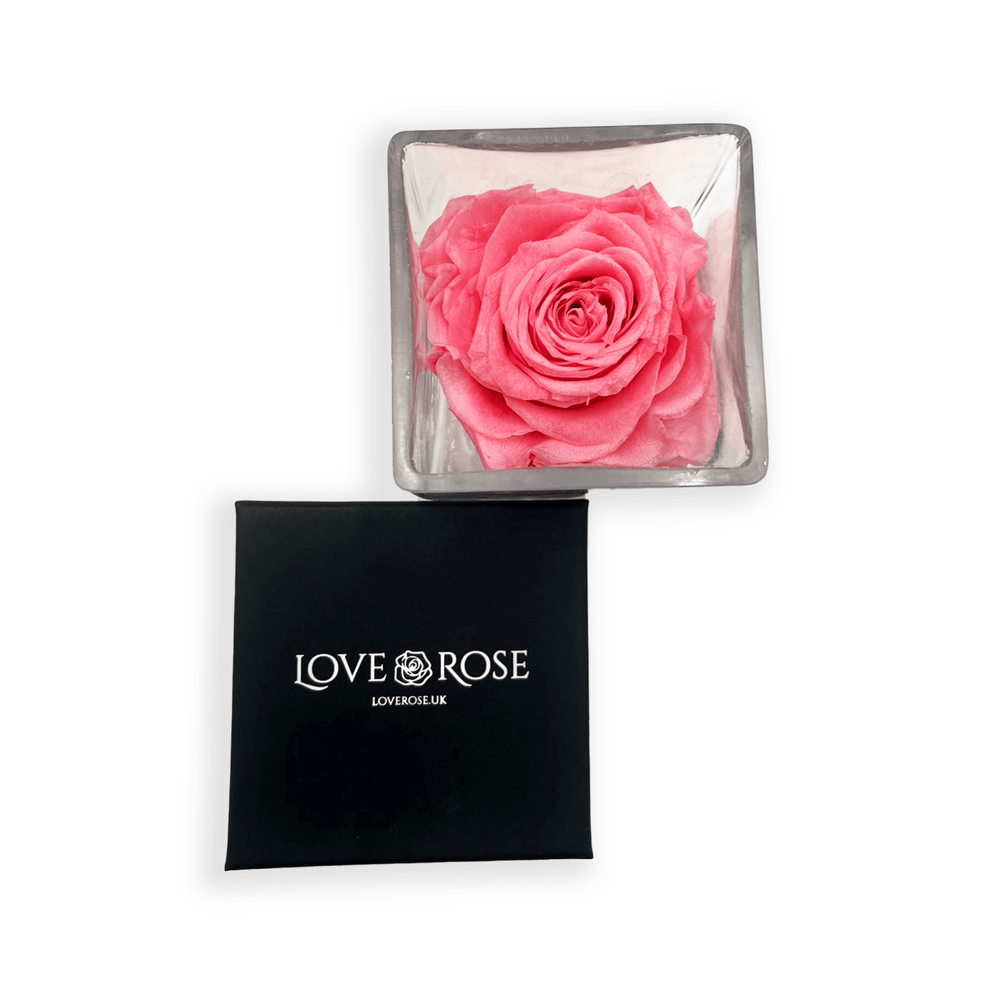Infinity Pink Rose Head in Clear Vase and Gift Box