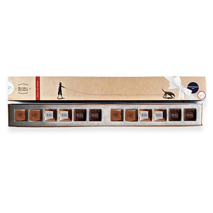Artistic 12 Hazelcrunch Chocs