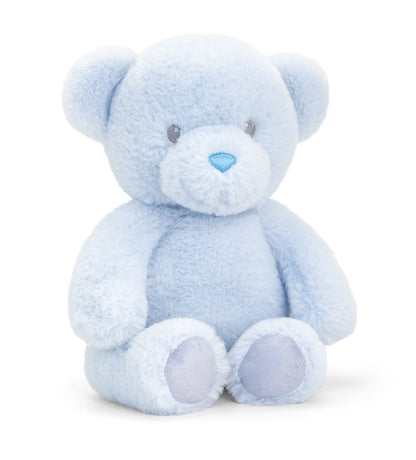 New Baby Boy Gift Set with Flowers Bouquet and Bear