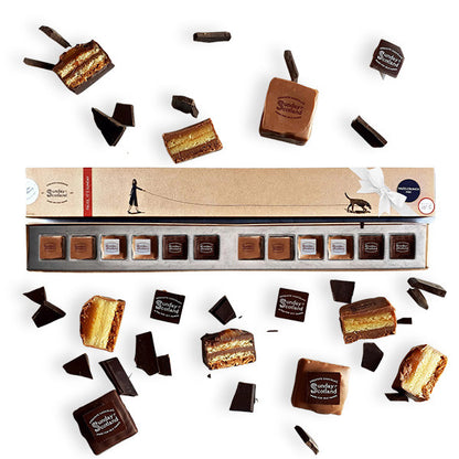 Artistic 12 Hazelcrunch Chocs